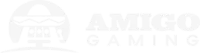 Logo du studio Amigo Gaming
