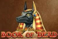 Vignette de la machine à sous Book of Dead